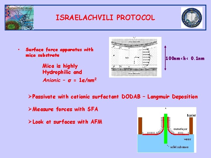 ISRAELACHVILI PROTOCOL • Surface force apparatus with mica substrate 100 nm<h< 0. 1 nm