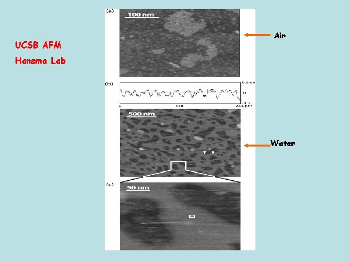 UCSB AFM Air Hansma Lab Water 