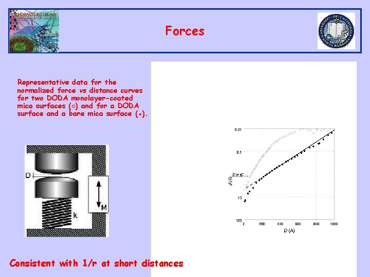 Forces Representative data for the normalized force vs distance curves for two DODA monolayer-coated