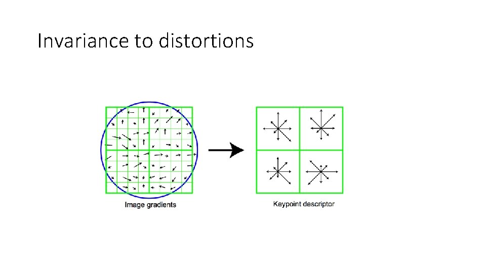 Invariance to distortions 