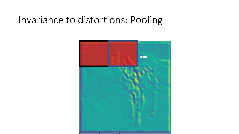 Invariance to distortions: Pooling … 