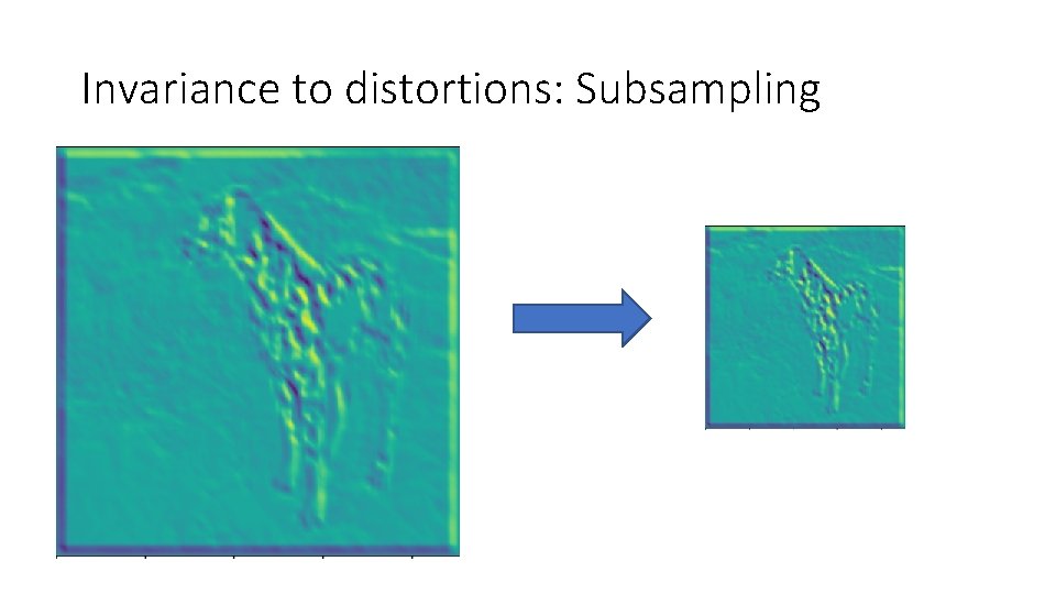 Invariance to distortions: Subsampling 