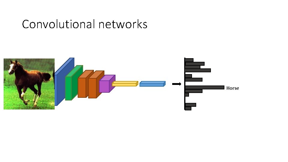 Convolutional networks Horse 