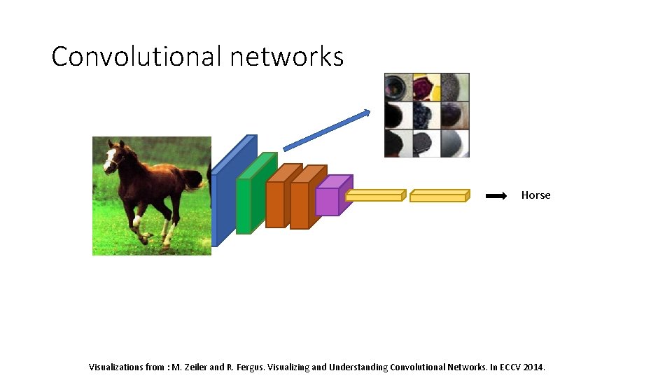 Convolutional networks Horse Visualizations from : M. Zeiler and R. Fergus. Visualizing and Understanding