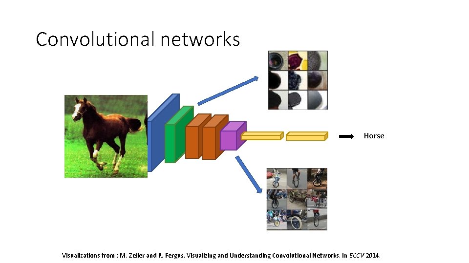Convolutional networks Horse Visualizations from : M. Zeiler and R. Fergus. Visualizing and Understanding