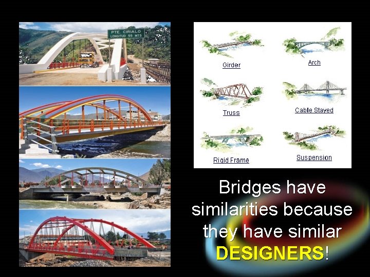 Bridges have similarities because they have similar DESIGNERS! 