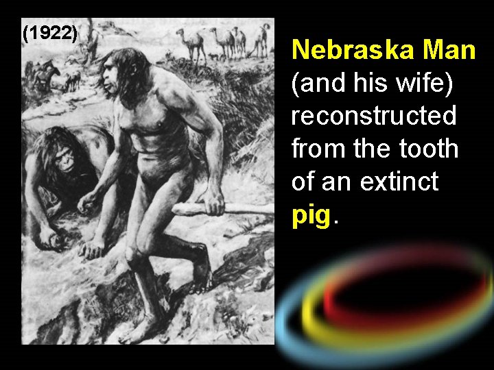 (1922) Nebraska Man (and his wife) reconstructed from the tooth of an extinct pig.