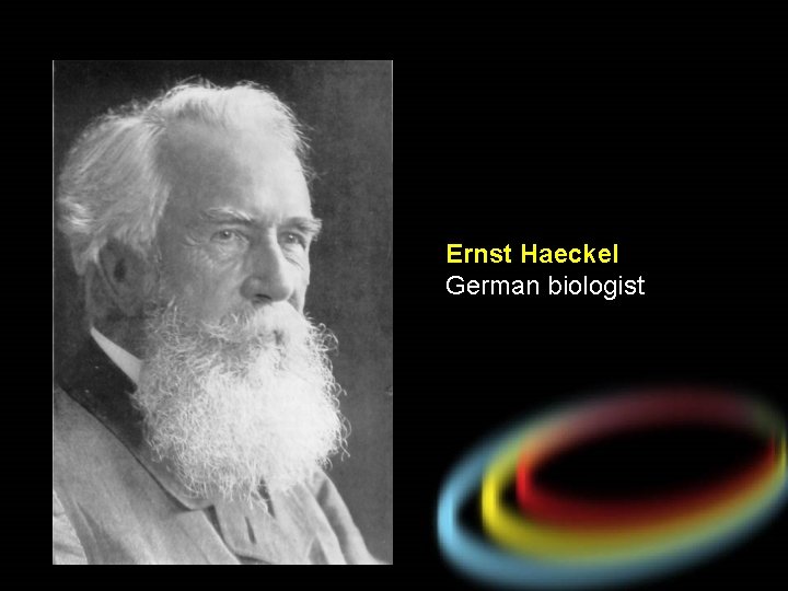 Ernst Haeckel German biologist 