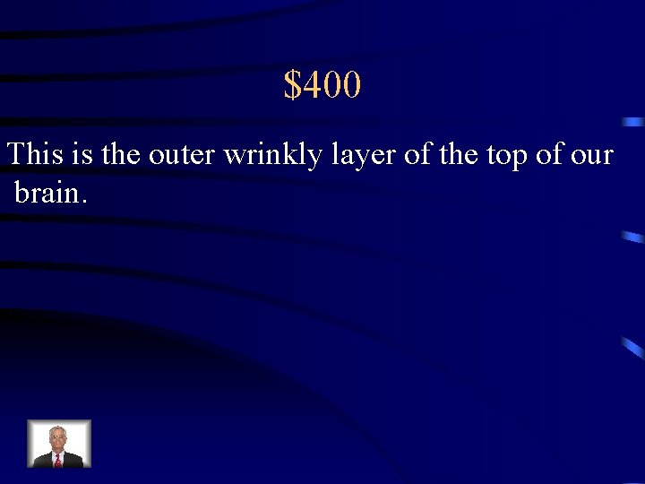 $400 This is the outer wrinkly layer of the top of our brain. 