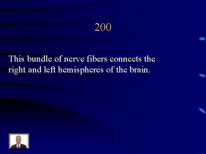 200 This bundle of nerve fibers connects the right and left hemispheres of the