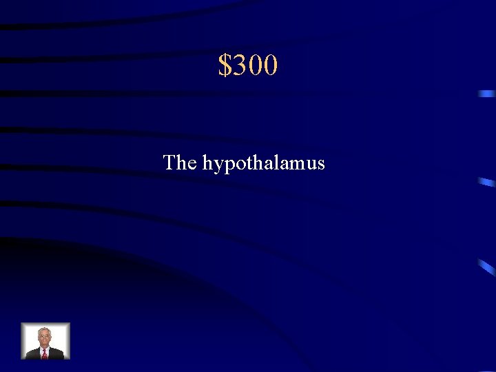$300 The hypothalamus 