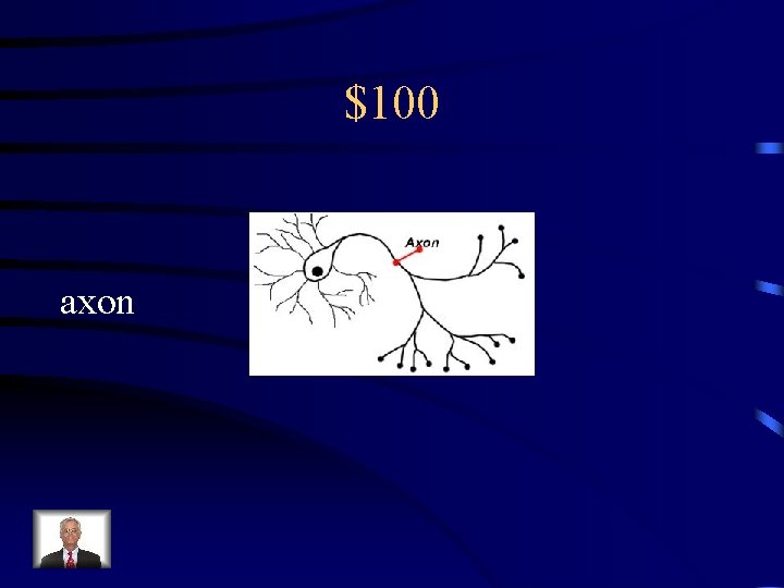 $100 axon 