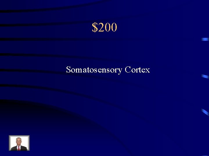 $200 Somatosensory Cortex 