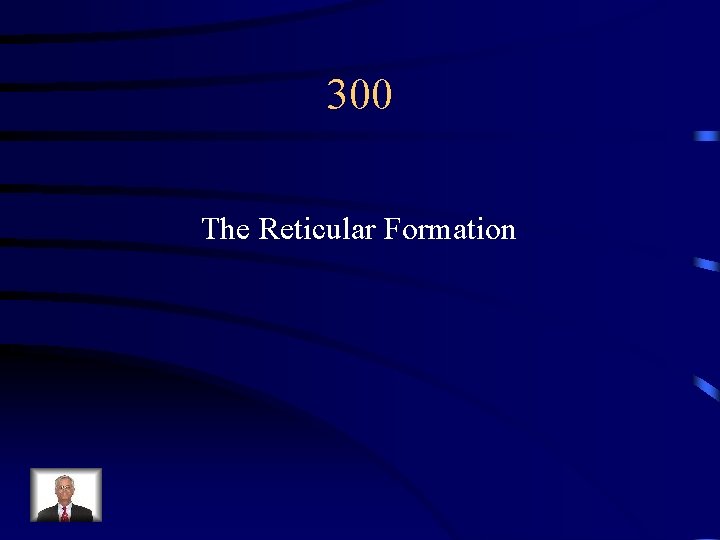 300 The Reticular Formation 