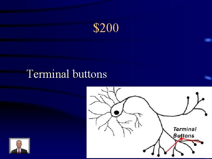 $200 Terminal buttons 