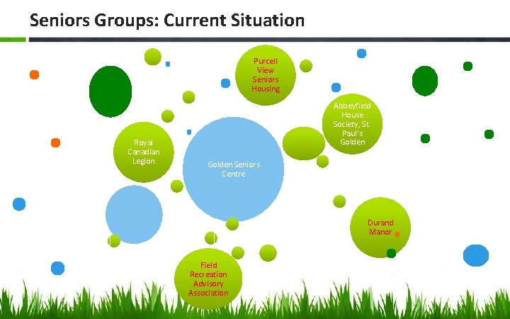 Seniors Groups: Current Situation Purcell View Seniors Housing Royal Canadian Legion Abbeyfield House Society,