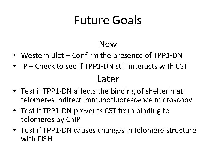 Future Goals Now • Western Blot – Confirm the presence of TPP 1 -DN