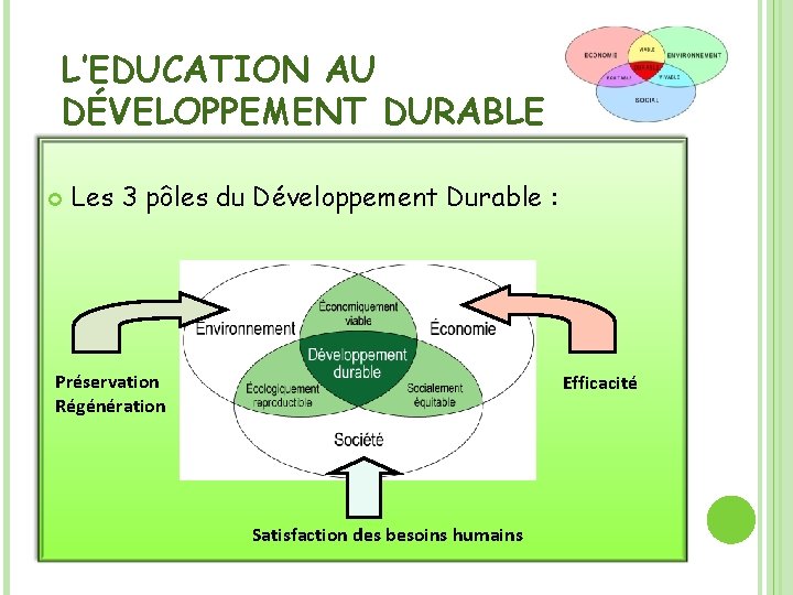 L’EDUCATION AU DÉVELOPPEMENT DURABLE Les 3 pôles du Développement Durable : Préservation Régénération Efficacité