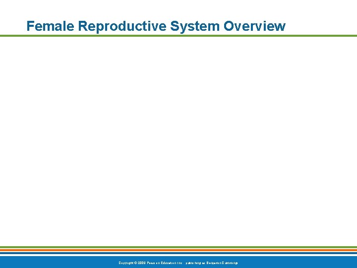 Female Reproductive System Overview Copyright © 2009 Pearson Education, Inc. , publishing as Benjamin