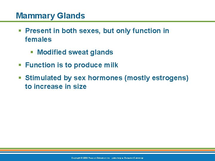 Mammary Glands § Present in both sexes, but only function in females § Modified