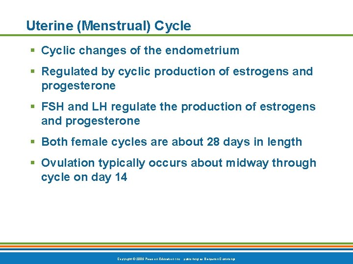 Uterine (Menstrual) Cycle § Cyclic changes of the endometrium § Regulated by cyclic production