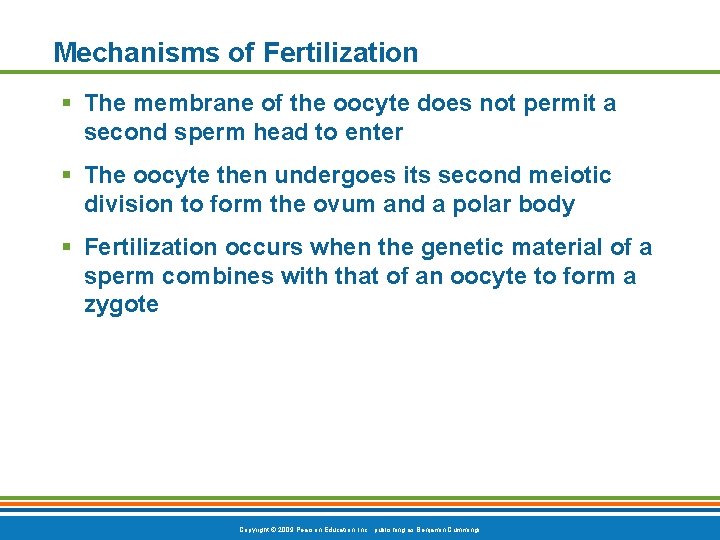 Mechanisms of Fertilization § The membrane of the oocyte does not permit a second