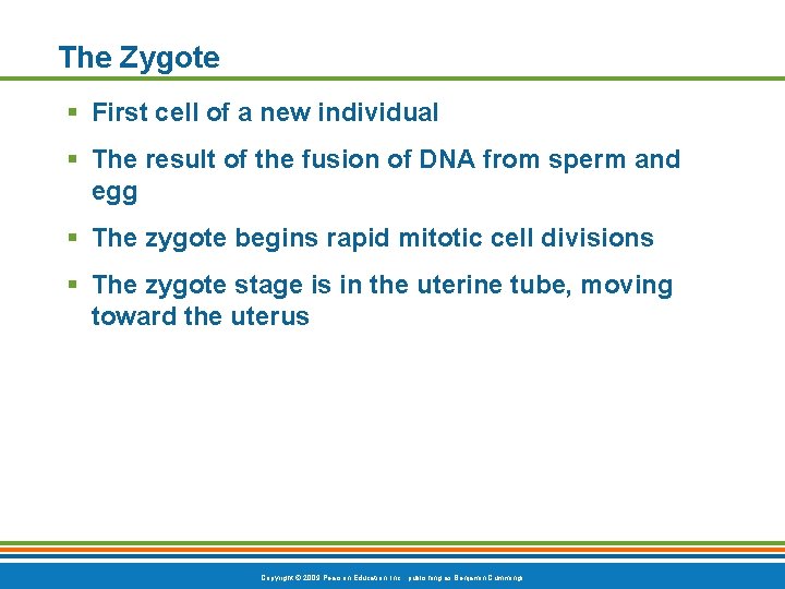 The Zygote § First cell of a new individual § The result of the