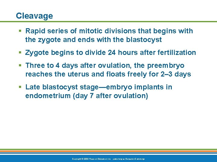 Cleavage § Rapid series of mitotic divisions that begins with the zygote and ends