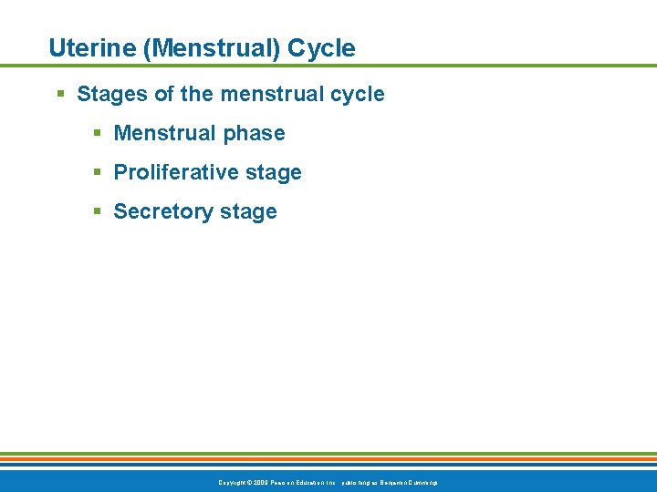 Uterine (Menstrual) Cycle § Stages of the menstrual cycle § Menstrual phase § Proliferative