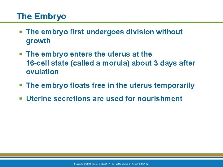 The Embryo § The embryo first undergoes division without growth § The embryo enters