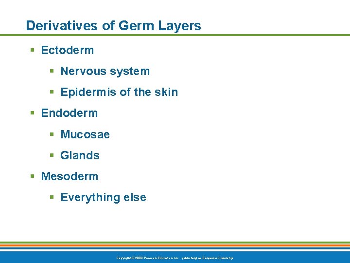 Derivatives of Germ Layers § Ectoderm § Nervous system § Epidermis of the skin