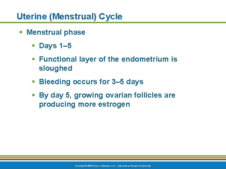 Uterine (Menstrual) Cycle § Menstrual phase § Days 1– 5 § Functional layer of