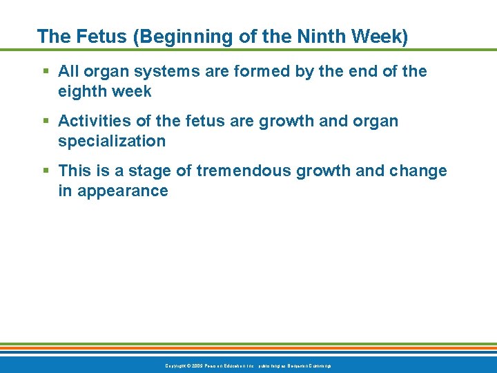 The Fetus (Beginning of the Ninth Week) § All organ systems are formed by