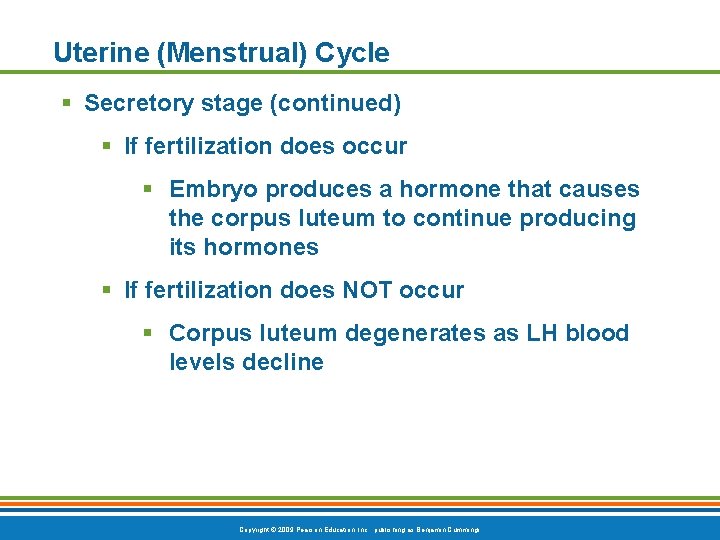 Uterine (Menstrual) Cycle § Secretory stage (continued) § If fertilization does occur § Embryo