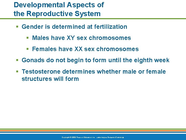 Developmental Aspects of the Reproductive System § Gender is determined at fertilization § Males