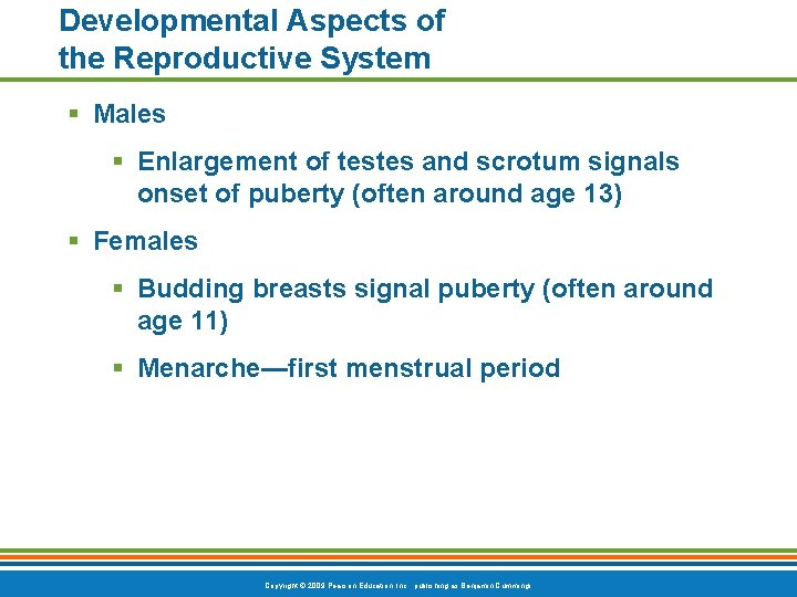 Developmental Aspects of the Reproductive System § Males § Enlargement of testes and scrotum