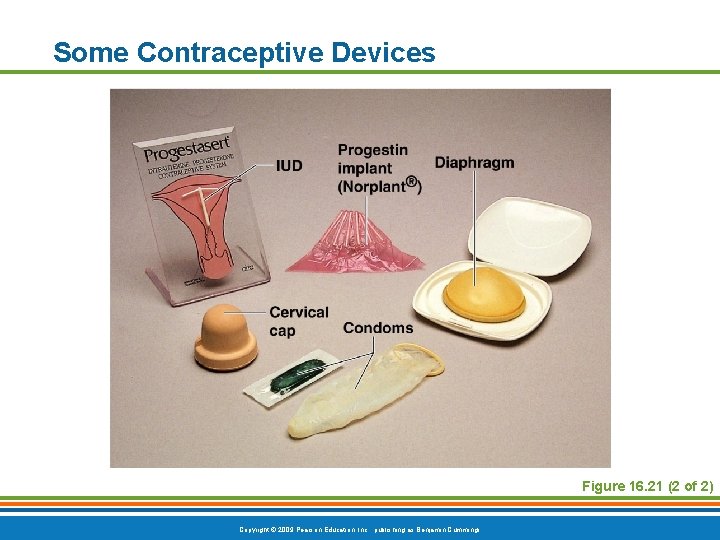 Some Contraceptive Devices Figure 16. 21 (2 of 2) Copyright © 2009 Pearson Education,