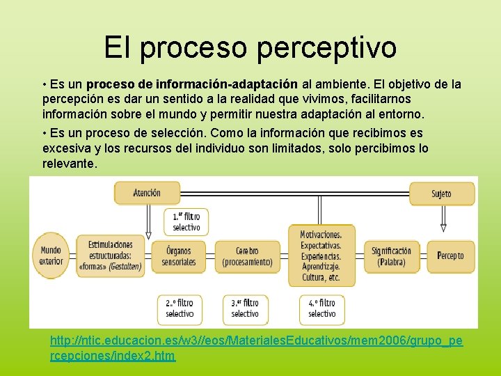 El proceso perceptivo • Es un proceso de información-adaptación al ambiente. El objetivo de