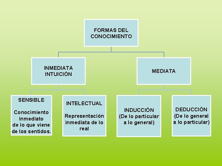 FORMAS DEL CONOCIMIENTO INMEDIATA INTUICIÓN SENSIBLE Conocimiento inmediato de lo que viene de los