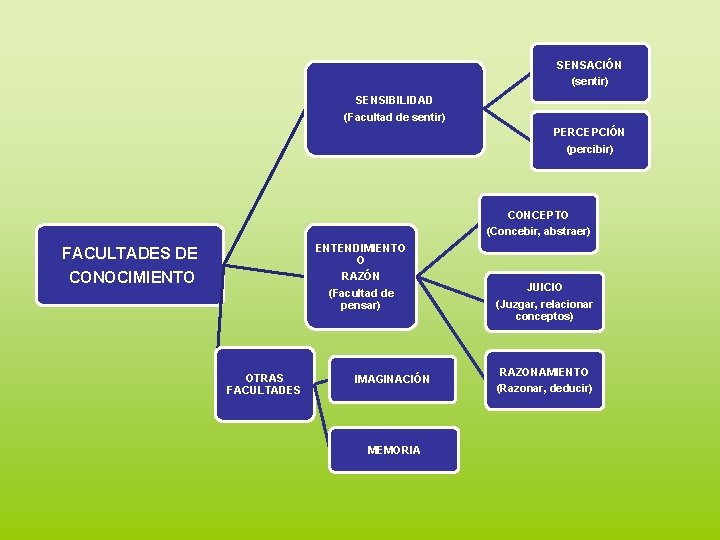 SENSACIÓN (sentir) SENSIBILIDAD (Facultad de sentir) PERCEPCIÓN (percibir) CONCEPTO (Concebir, abstraer) ENTENDIMIENTO O RAZÓN