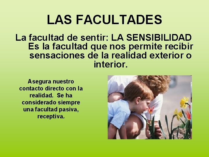 LAS FACULTADES La facultad de sentir: LA SENSIBILIDAD Es la facultad que nos permite