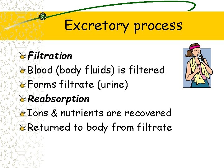 Excretory process Filtration Blood (body fluids) is filtered Forms filtrate (urine) Reabsorption Ions &