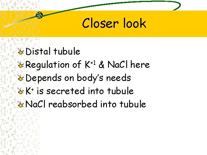 Closer look Distal tubule Regulation of K+1 & Na. Cl here Depends on body’s