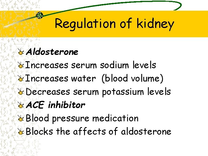Regulation of kidney Aldosterone Increases serum sodium levels Increases water (blood volume) Decreases serum