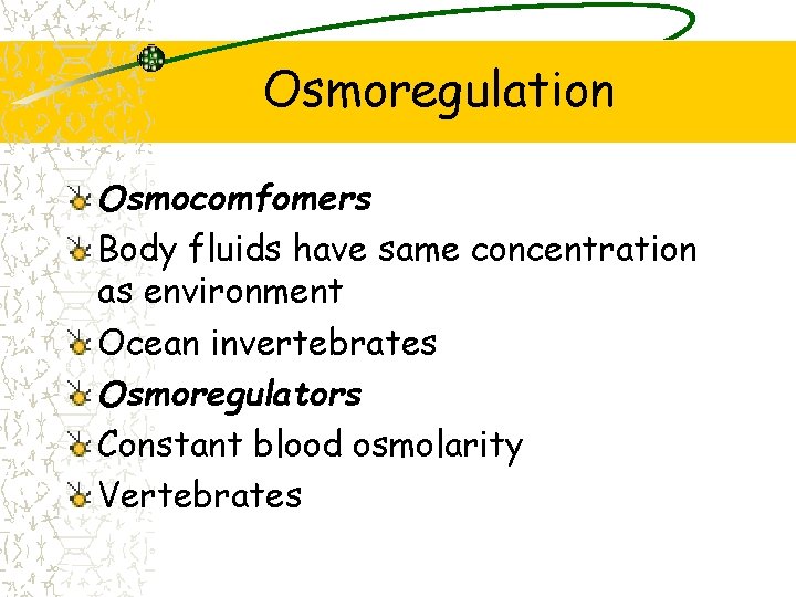 Osmoregulation Osmocomfomers Body fluids have same concentration as environment Ocean invertebrates Osmoregulators Constant blood
