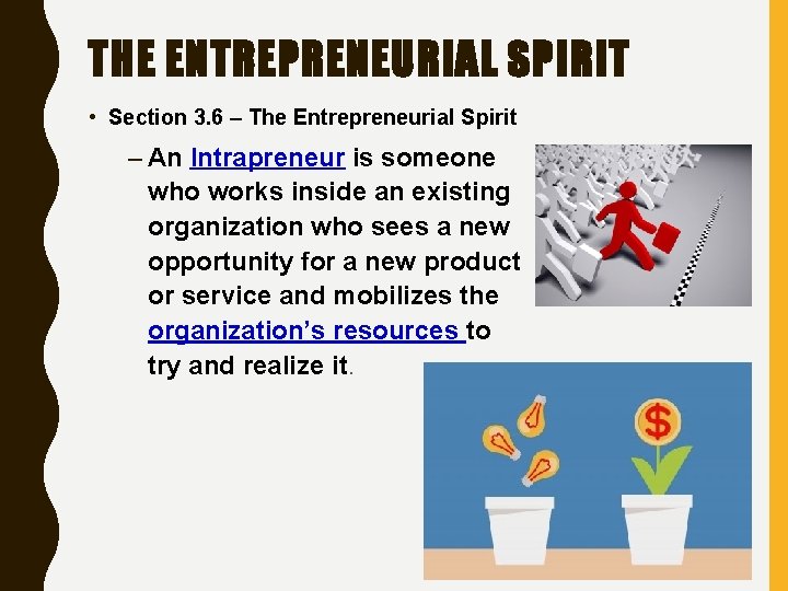 THE ENTREPRENEURIAL SPIRIT • Section 3. 6 – The Entrepreneurial Spirit – An Intrapreneur