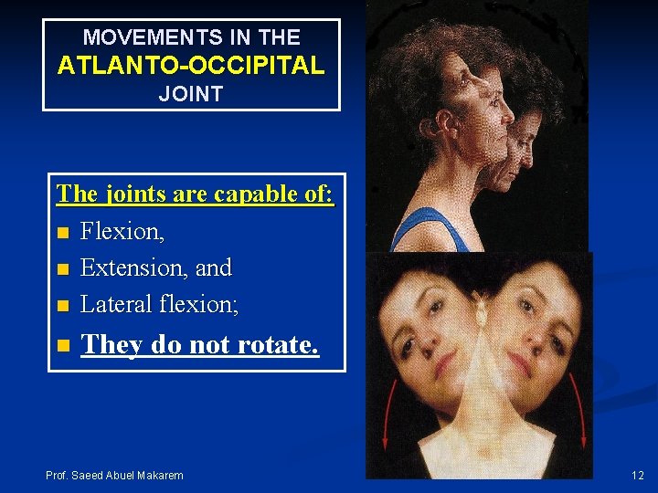 MOVEMENTS IN THE ATLANTO-OCCIPITAL JOINT The joints are capable of: n Flexion, n Extension,