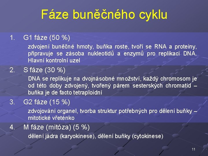 Fáze buněčného cyklu 1. G 1 fáze (50 %) zdvojení buněčné hmoty, buňka roste,