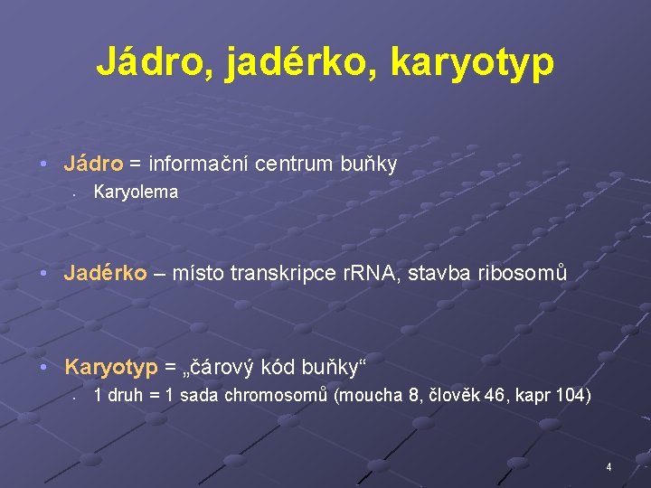 Jádro, jadérko, karyotyp • Jádro = informační centrum buňky • Karyolema • Jadérko –