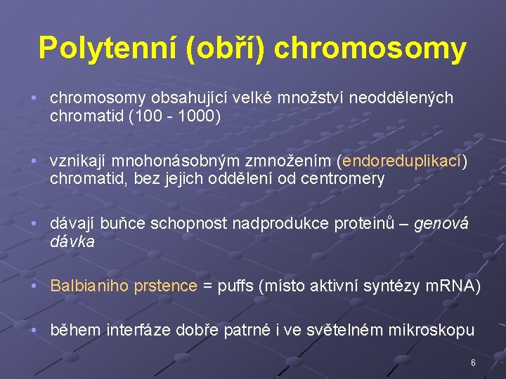 Polytenní (obří) chromosomy • chromosomy obsahující velké množství neoddělených chromatid (100 - 1000) •